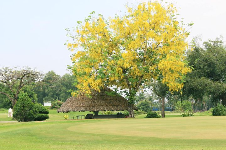 nhà hàng tiệc cưới Golf Sông Bé Bình Dương