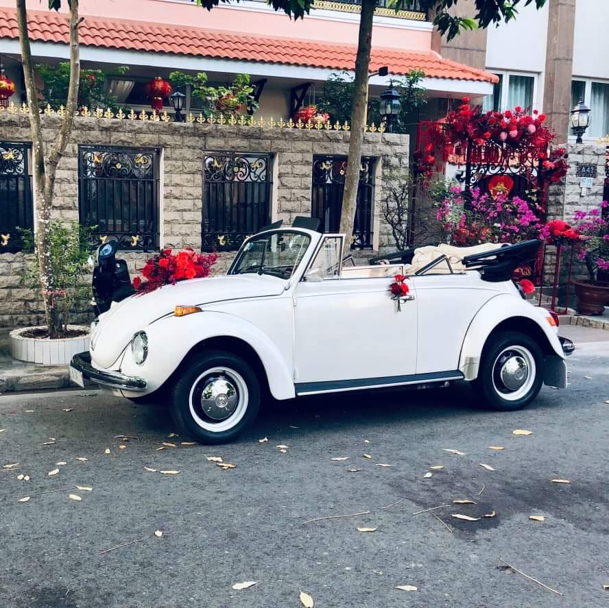Thảo Nguyên Wedding Marry