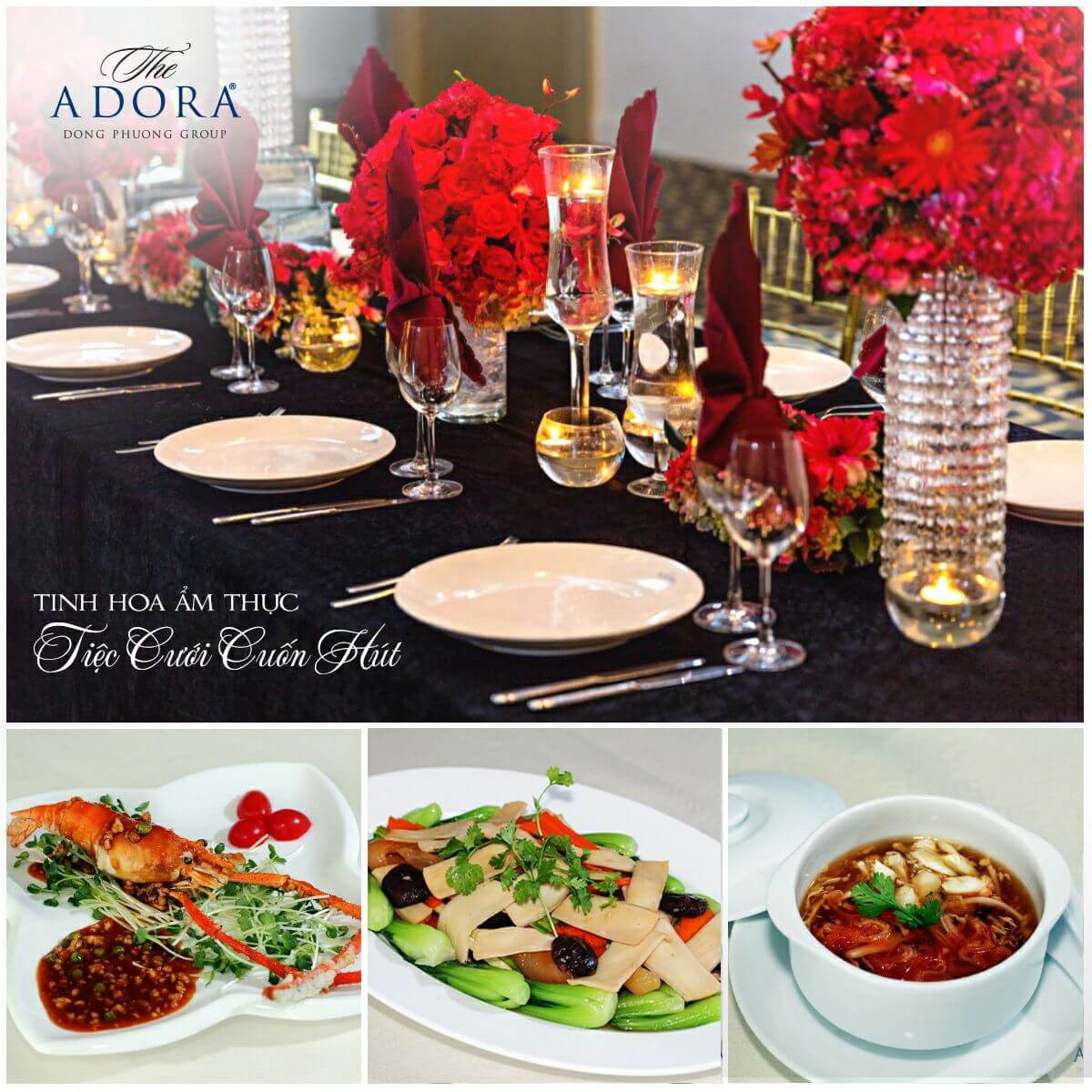 The ADORA Marry