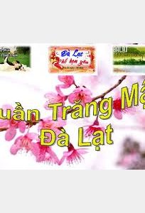 Du lịch Đà Lạt Hoa chuyên Trăng mật tại Tỉnh Lâm Đồng - Marry.vn