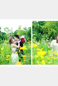 Áo Cưới Hồng Thương chuyên Trang phục cưới tại Tỉnh Ninh Bình - Marry.vn