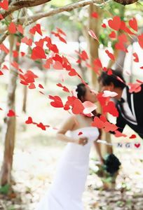 Tộc studio chuyên Chụp ảnh cưới tại Tỉnh Đắk Lắk - Marry.vn