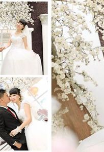 Studio Áo Cưới Jessian chuyên Chụp ảnh cưới tại Tỉnh Bắc Giang - Marry.vn