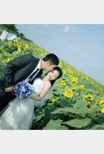 Áo Cưới Giáp Vân chuyên Chụp ảnh cưới tại Tỉnh Nghệ An - Marry.vn