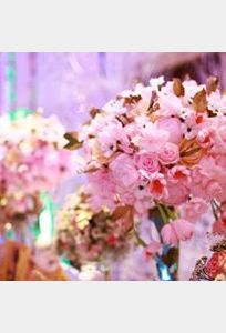 Iris Weddings chuyên Chụp ảnh cưới tại Thành phố Hồ Chí Minh - Marry.vn