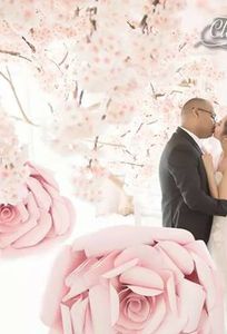 Dat Vios Wedding Studio chuyên Chụp ảnh cưới tại Thành phố Hồ Chí Minh - Marry.vn
