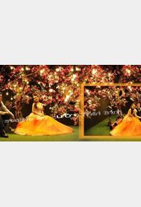 Studio áo cưới Thái Bình chuyên Chụp ảnh cưới tại Thành phố Hồ Chí Minh - Marry.vn