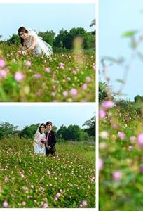 Thành Lợi Studio chuyên Chụp ảnh cưới tại Tỉnh Bà Rịa - Vũng Tàu - Marry.vn