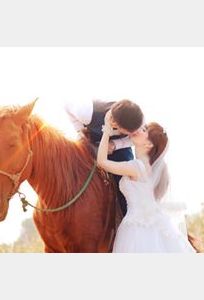 Sơn Hoa Wedding Studio chuyên Chụp ảnh cưới tại  - Marry.vn