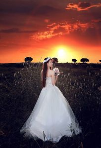 Thích Việt Hoàng Photography chuyên Chụp ảnh cưới tại  - Marry.vn