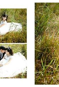 Hương Giang Wedding Studio chuyên Chụp ảnh cưới tại Tỉnh Hưng Yên - Marry.vn