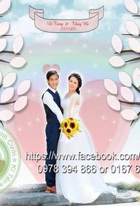 CAT Studio chuyên Dịch vụ khác tại  - Marry.vn