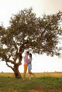 Stella Bridal chuyên Chụp ảnh cưới tại Thành phố Hồ Chí Minh - Marry.vn