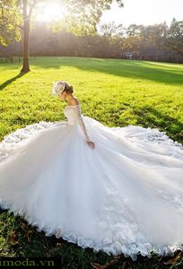 Áo Cưới MoDa Thanh Hoá chuyên Chụp ảnh cưới tại Tỉnh Thanh Hóa - Marry.vn