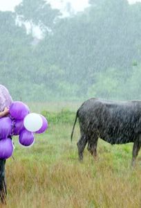 Alêhấp chuyên Trăng mật tại Thành phố Hồ Chí Minh - Marry.vn