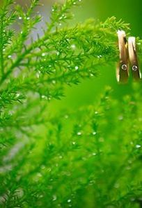 Bazan Studio chuyên Chụp ảnh cưới tại Tỉnh Đắk Lắk - Marry.vn