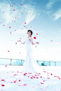 Ảnh Viện Áo Cưới Sophia chuyên Chụp ảnh cưới tại  - Marry.vn