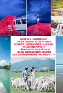 Van Lee Studio chuyên Dịch vụ khác tại Thành phố Hồ Chí Minh - Marry.vn