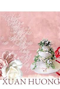 Dịch Vụ Cưới Hỏi Xuân Hương chuyên Wedding planner tại Tỉnh Gia Lai - Marry.vn