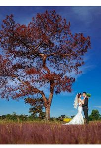 Hùng Lee Wedding chuyên Chụp ảnh cưới tại Thành phố Hồ Chí Minh - Marry.vn