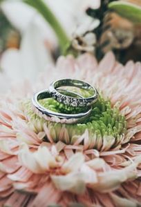 Nhà hàng khách sạn Sài Gòn Kim Liên chuyên Nhà hàng tiệc cưới tại Tỉnh Nghệ An - Marry.vn