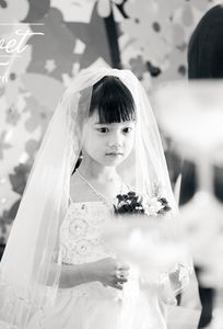 Red Velvet Events chuyên Chụp ảnh cưới tại  - Marry.vn