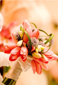 Thái Dương Flowers chuyên Hoa cưới tại  - Marry.vn