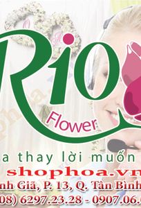 Shop hoa tươi Rio chuyên Dịch vụ khác tại Thành phố Hồ Chí Minh - Marry.vn