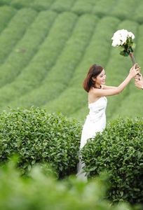 Ami Tour chuyên Trăng mật tại  - Marry.vn