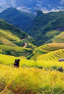 Vietnamtourism chuyên Trăng mật tại Thành phố Hồ Chí Minh - Marry.vn