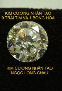 Ngọc Long Châu chuyên Dịch vụ khác tại Thành phố Hồ Chí Minh - Marry.vn