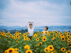 Album ảnh cưới - Đà Lạt ngập tràn hoa - Tony Wedding