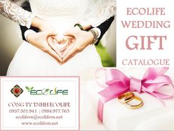 1000 catalogue cưới tặng miễn phí - Ecolife Wedding Korea