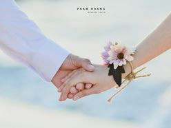 Album cưới Vĩnh Hy  - Hang Rái - Phạm Hoàng Studio
