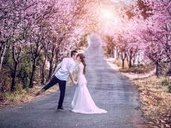 wedding 2016 - Hiếu Photods