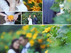 Ba Vì mùa sương - Le Soleil wedding studio