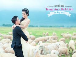 Album Hồ Cốc - Beelove Studio