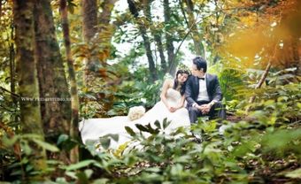 Địa điểm chụp ảnh cưới ở Ba Vì  - Blog Marry