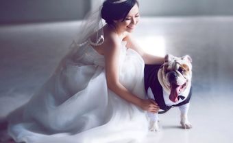  Mốt chụp ảnh cưới với thú cưng - Blog Marry