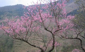 Kinh nghiệm du lịch trăng mật ở miền Bắc - Blog Marry