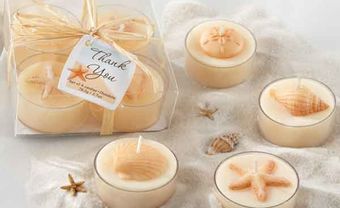 Quà cưới tặng khách - nến tealight hình vỏ sò - Blog Marry