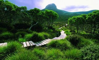 Tasmania - Điểm đến yên bình - Blog Marry