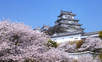 Thưởng thức văn hóa Nhật Bản tại Tokyo - Blog Marry