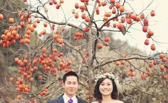 Địa điểm chụp ảnh cưới vườn hồng Đà Lạt - Blog Marry