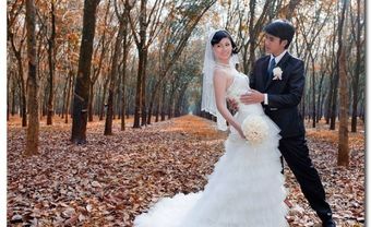 Địa điểm chụp ảnh cưới rừng cao su - Blog Marry