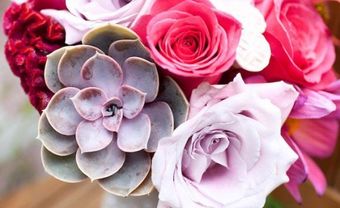 Hoa cưới cầm tay kết từ hoa sen đá, hoa hồng và hoa mào gà - Blog Marry