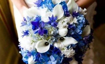 Hoa cưới cầm tay màu xanh dương kết với hoa cẩm tú cầu - Blog Marry