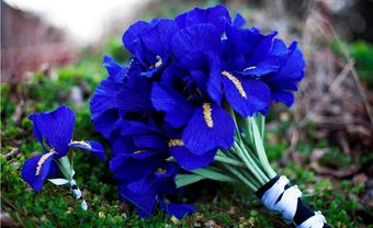 Hoa cưới cầm tay màu xanh dương kết từ hoa diên vĩ - Blog Marry