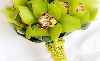Hoa cưới cầm tay màu xanh lá kết hợp với hoa địa lan - Blog Marry