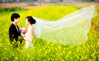 Địa điểm chụp ảnh cưới: vườn cải vàng Gia Lâm - Blog Marry
